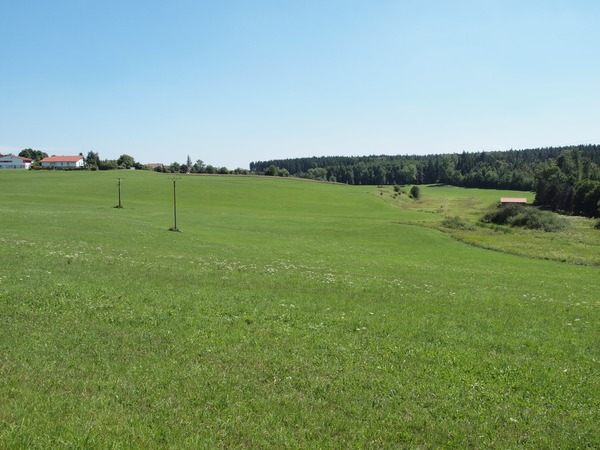 Bild Nr. 34